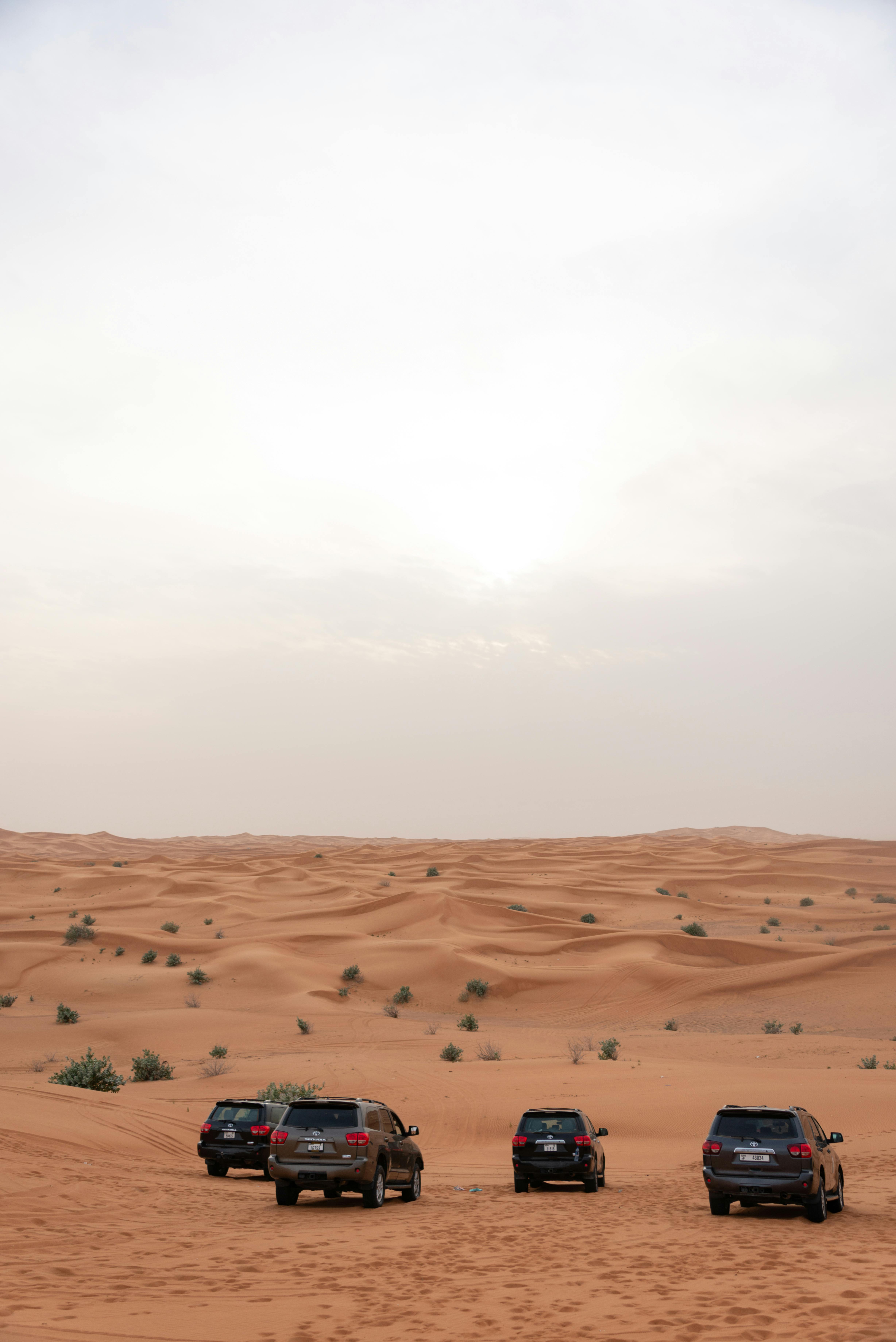 Dubai Full Day City Tour